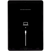 iPad Mini 3 Software Recovery Service